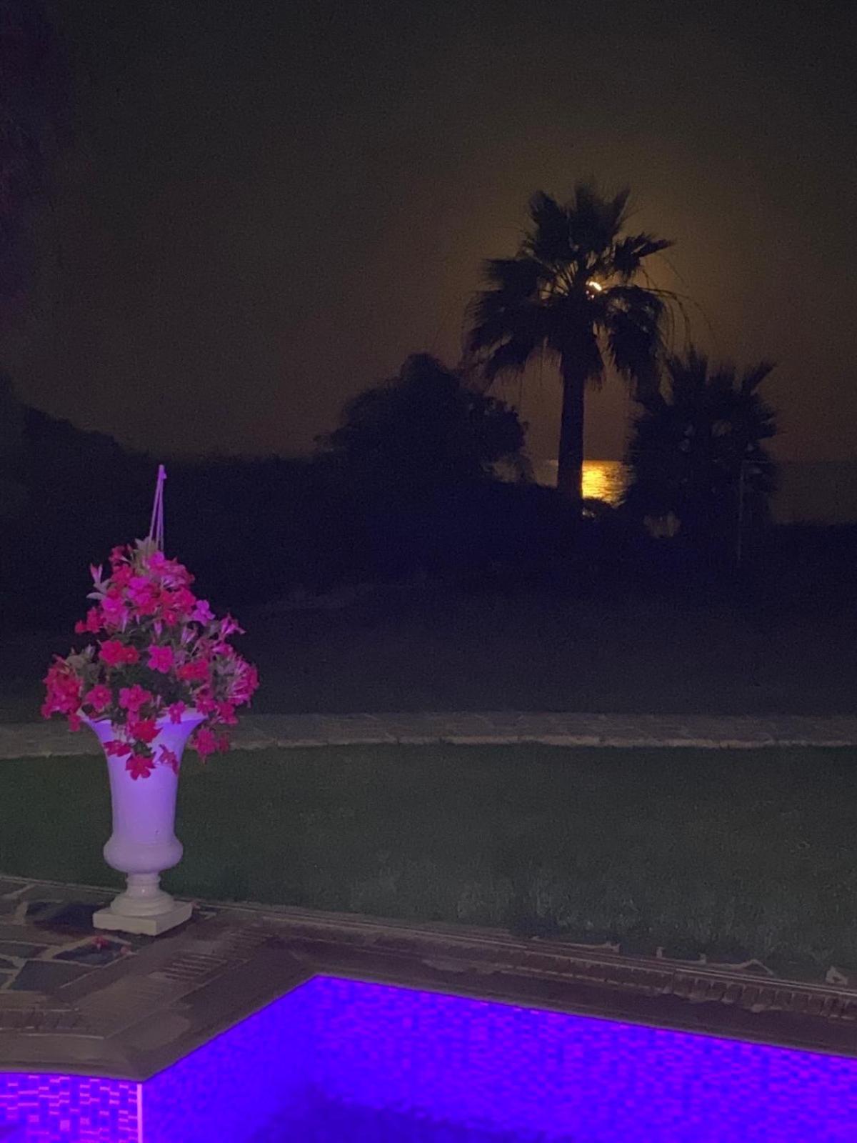 Ionion Beachfront Villa 圣纳帕 外观 照片
