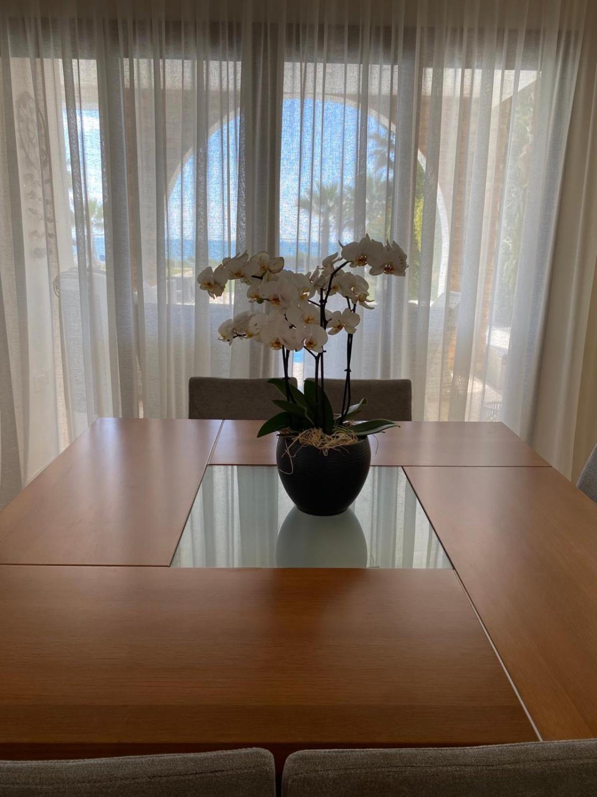 Ionion Beachfront Villa 圣纳帕 外观 照片