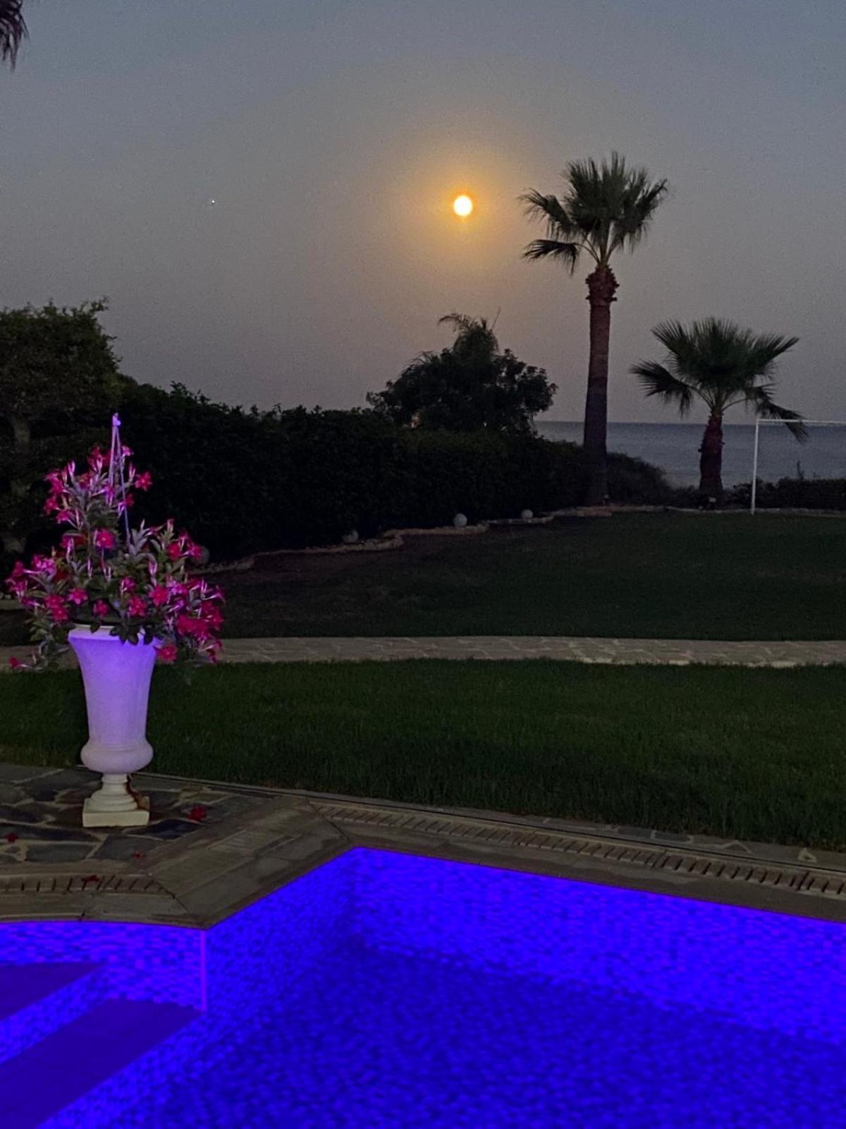 Ionion Beachfront Villa 圣纳帕 外观 照片